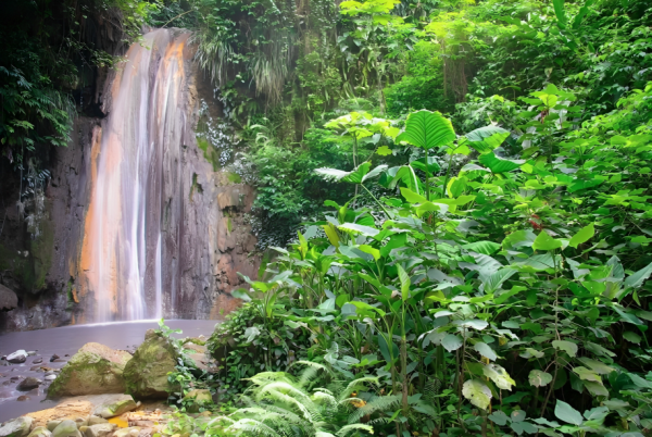Chasing Waterfalls Tour
