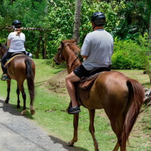 Horse Back Riding