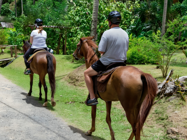 Horse Back Riding